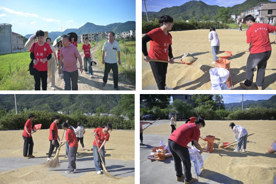 大发娱乐
:深入走访调研 青春力量助力乡村振兴_fororder_图片7