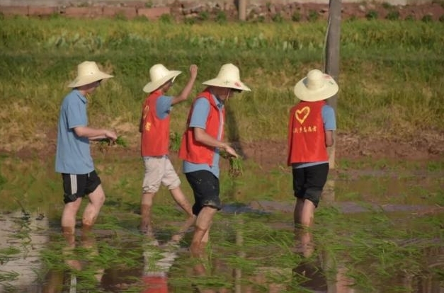 大发娱乐
学子深入基层开展火热实践