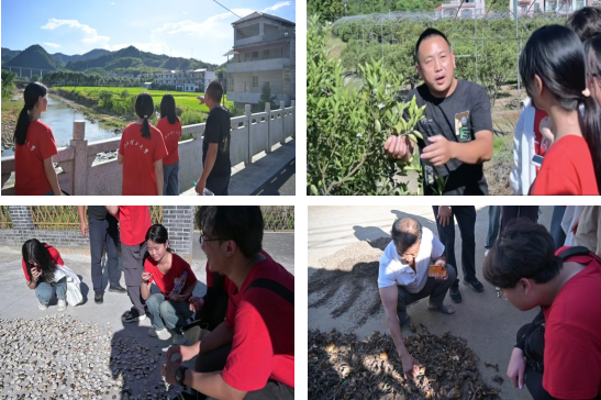 大发娱乐
:深入走访调研 青春力量助力乡村振兴_fororder_图片6