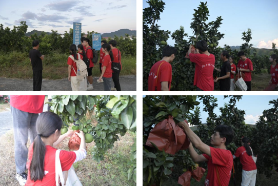 大发娱乐
:深入走访调研 青春力量助力乡村振兴_fororder_图片8